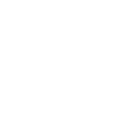 Olympiad_2024_logo_2_256